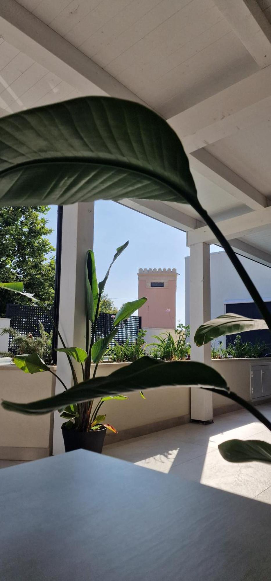 Thalassa Rooms Avola Dış mekan fotoğraf